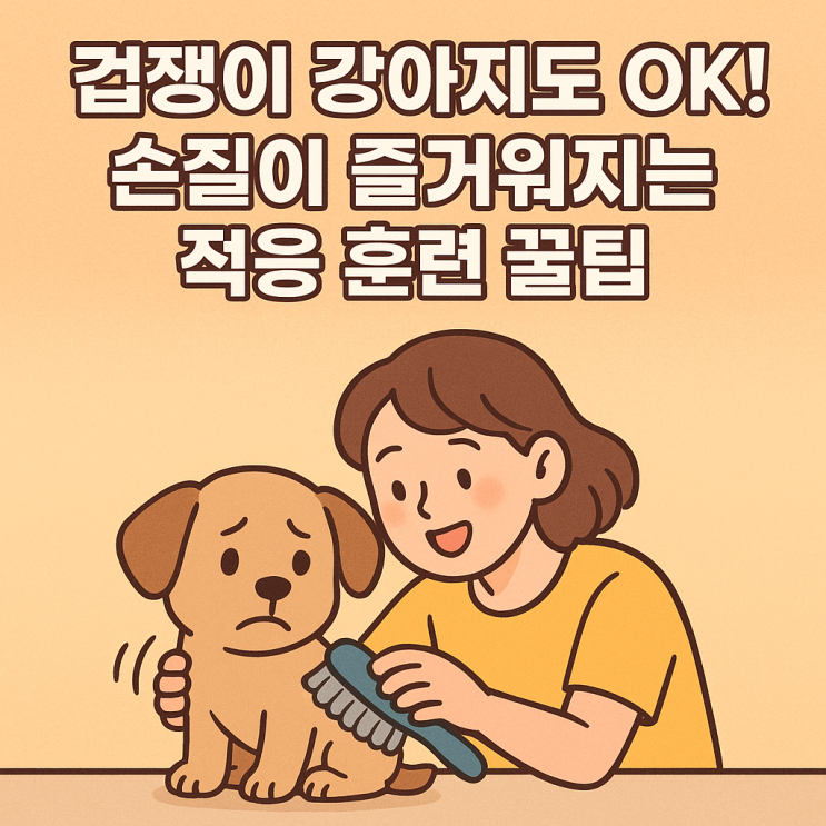   처음엔 낯설지만, 점점 즐거워지는 ‘강아지 손질 적응 훈련법’