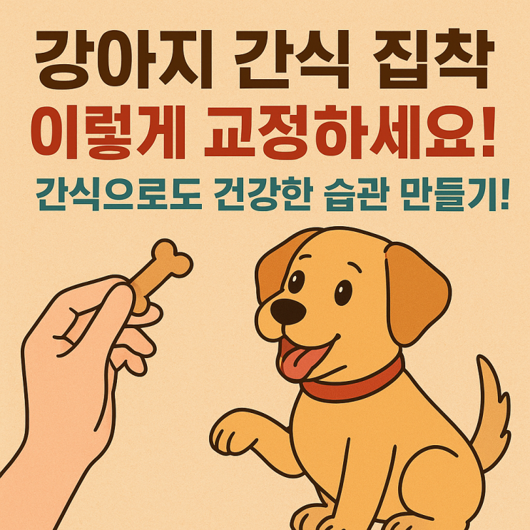   강아지 간식 집착 교정법, 이렇게 해보세요!