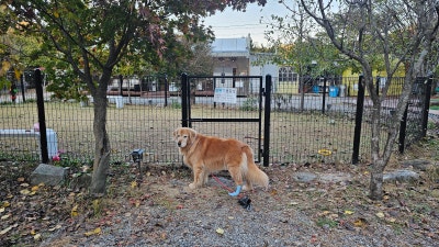 사진 7