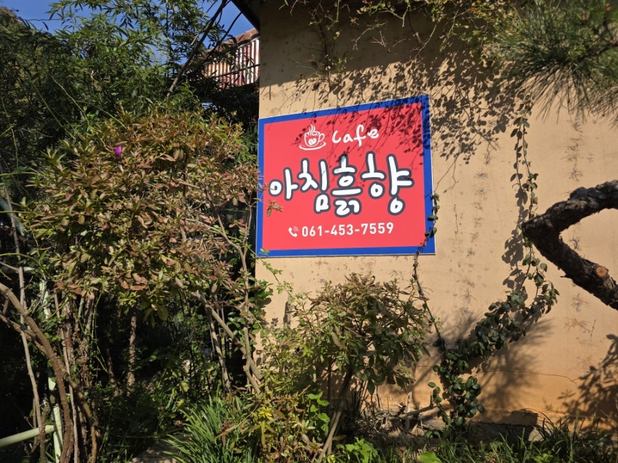 아침흙향 사진 2