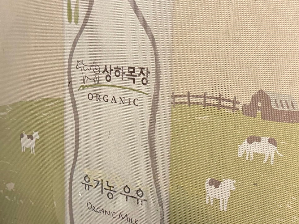 아이스걸크림보이 사진 5