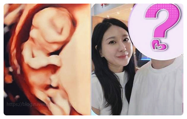  나솔이 엄마아빠 결국 공개! 나는솔로 28기 정숙 상철 현실 커플 임신 소식 총정리
