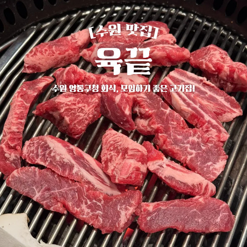  수원 영통구청 맛집 추천 육끝 소고기 갈비살