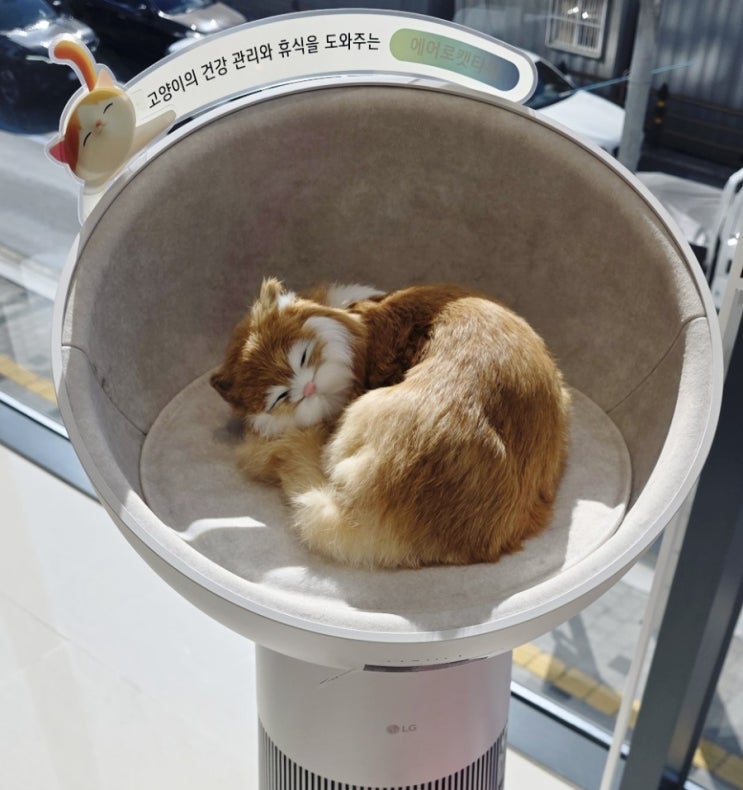  [거제동]반려동물을 위한 특별한 공간 펫존이 있는 'LG전자 베스트샵 부산연제점'