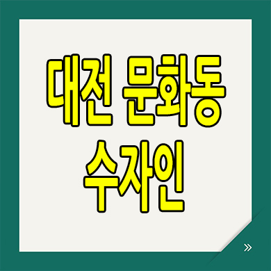  대전 문화공원 수자인 미분양아파트 분양가 계약축하금 1500만원 선착순