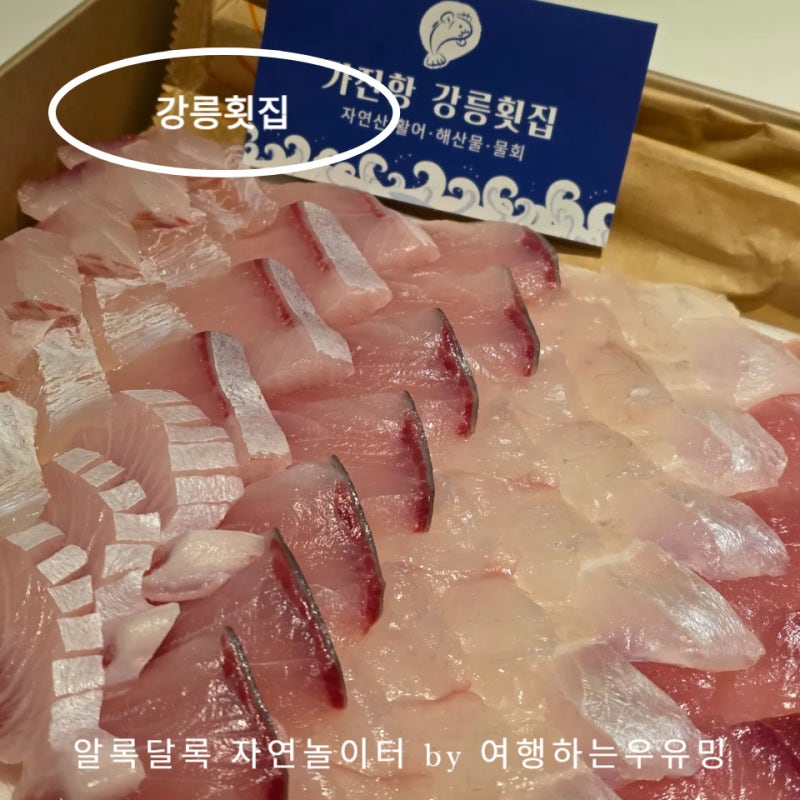 강릉횟집 가진항 3호 추천, 자연산 활어회 포장 맛집