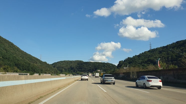  일본 여행 최신 입국 절차 완벽 정리 (2005년 기준)