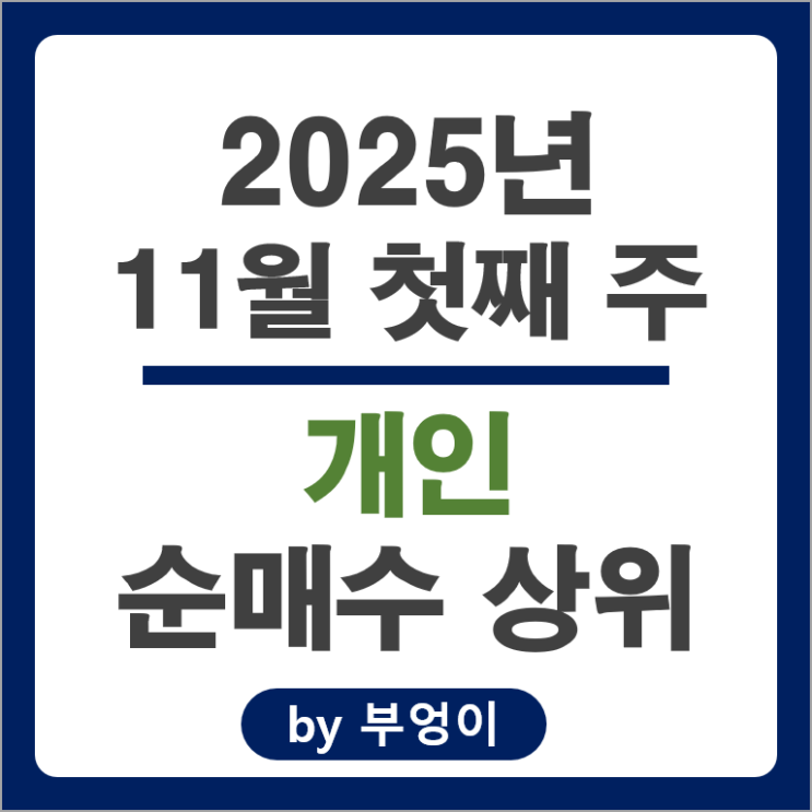 개인 순매수 주식 삼성전자 두산에너빌리티 네이버 삼성SDI 주가