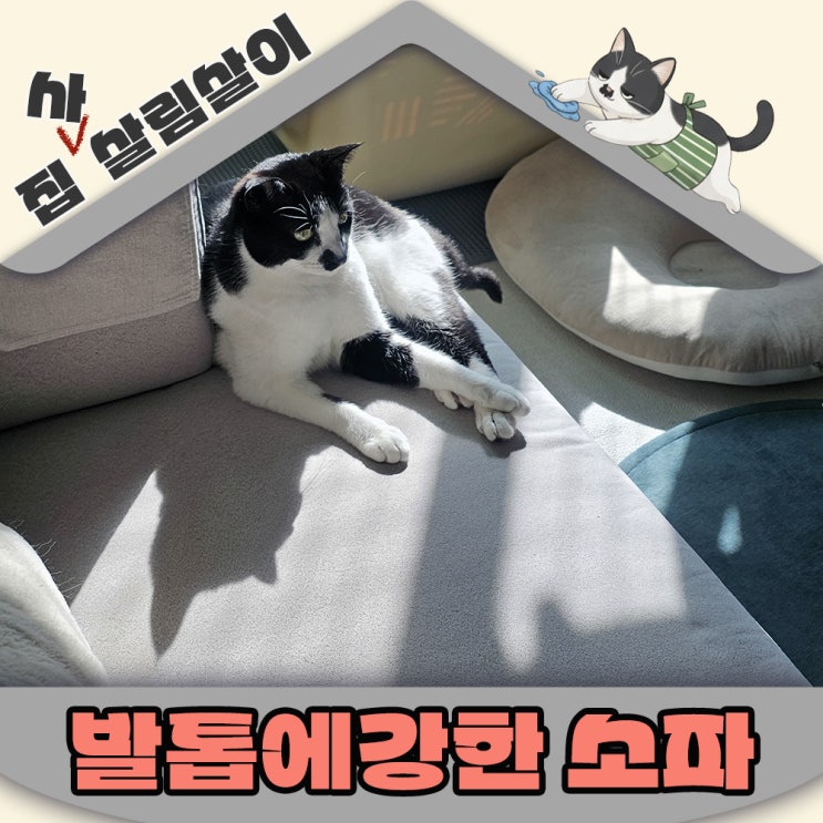  고양이 발톱 스크래치에 살아남는 소파 고르는 방법