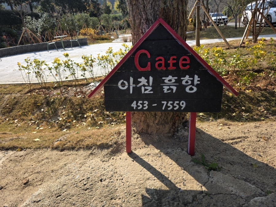 아침흙향 사진 4