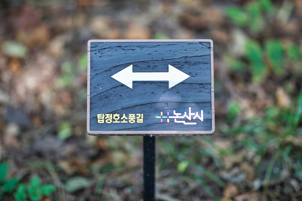 고정산 사진 6