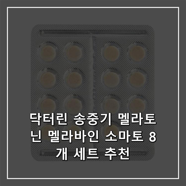 닥터린 송중기 멜라토닌 멜라바인 소마토 8개 세트 추천