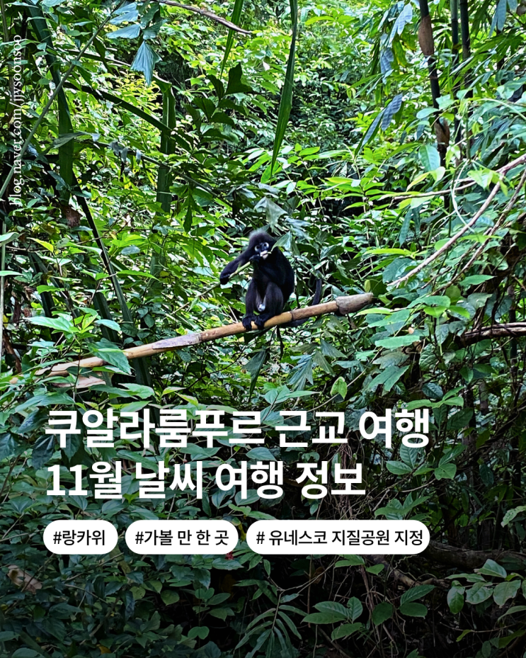  11월 쿠알라룸푸르 근교 여행지 랑카위 날씨 옷차림 여행정보 치안 가볼 만한 곳