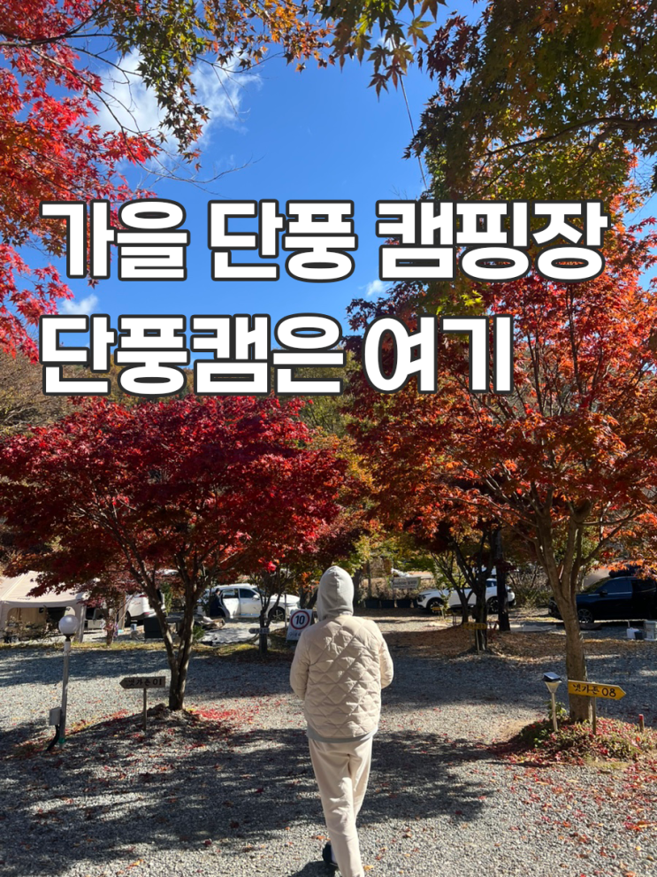  가을캠핑 단풍캠 숲에서놀자 캠핑장 냇가존 방문 후기