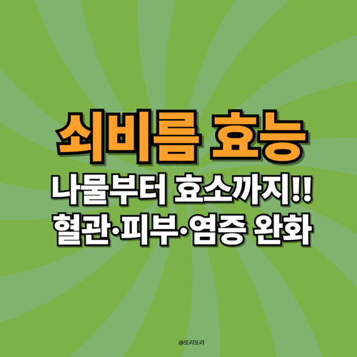 쇠비름 나물·효소 효능과 부작용, 건강하게 먹는법 알기