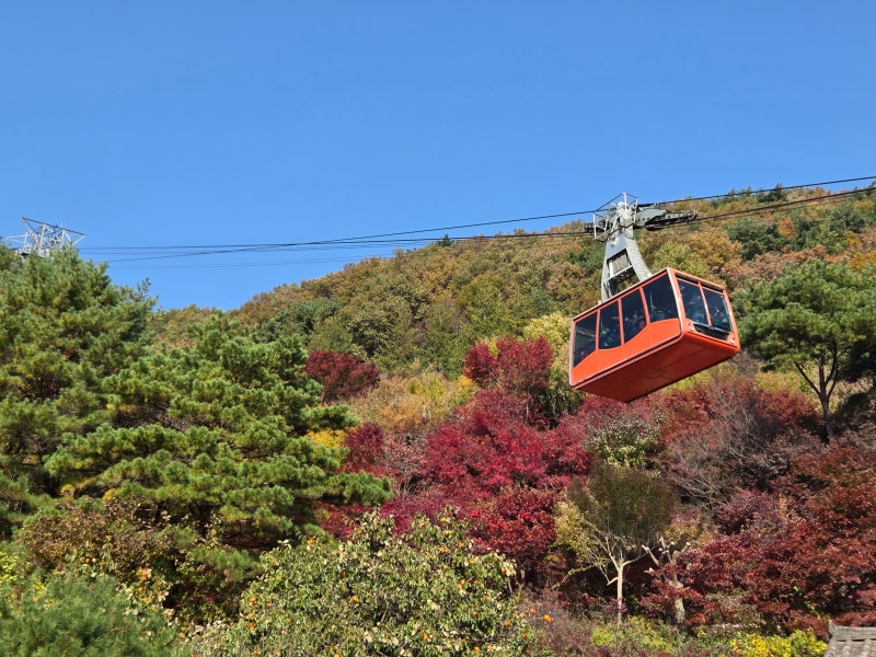 대둔산 케이블카 타고 대둔산 단풍절정시기에 등산하기