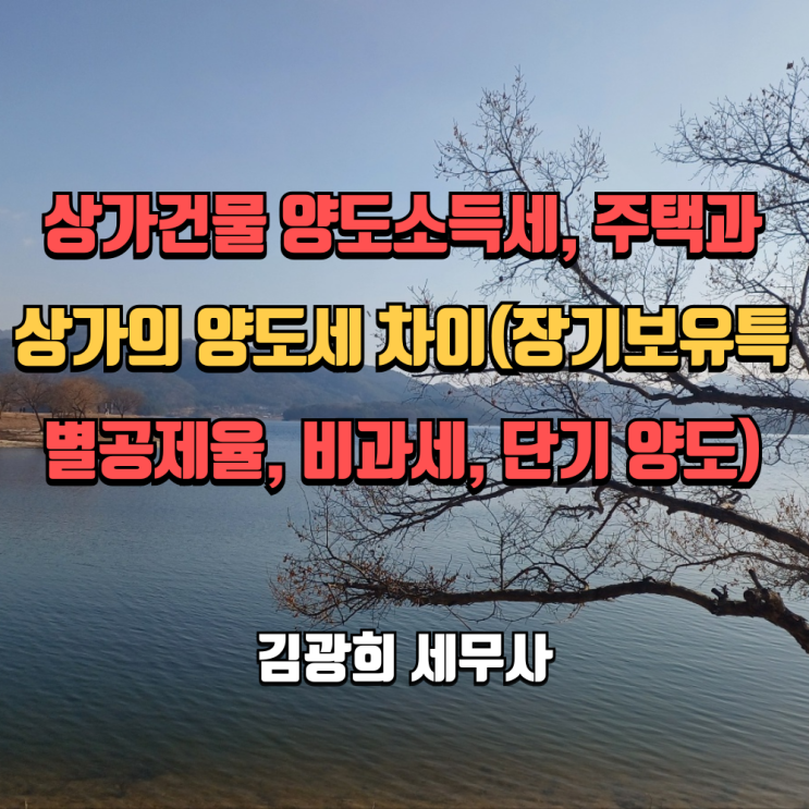 상가건물 양도소득세, 주택과 상가의 양도세 차이(장기보유특별공제율, 비과세, 단기 양도)