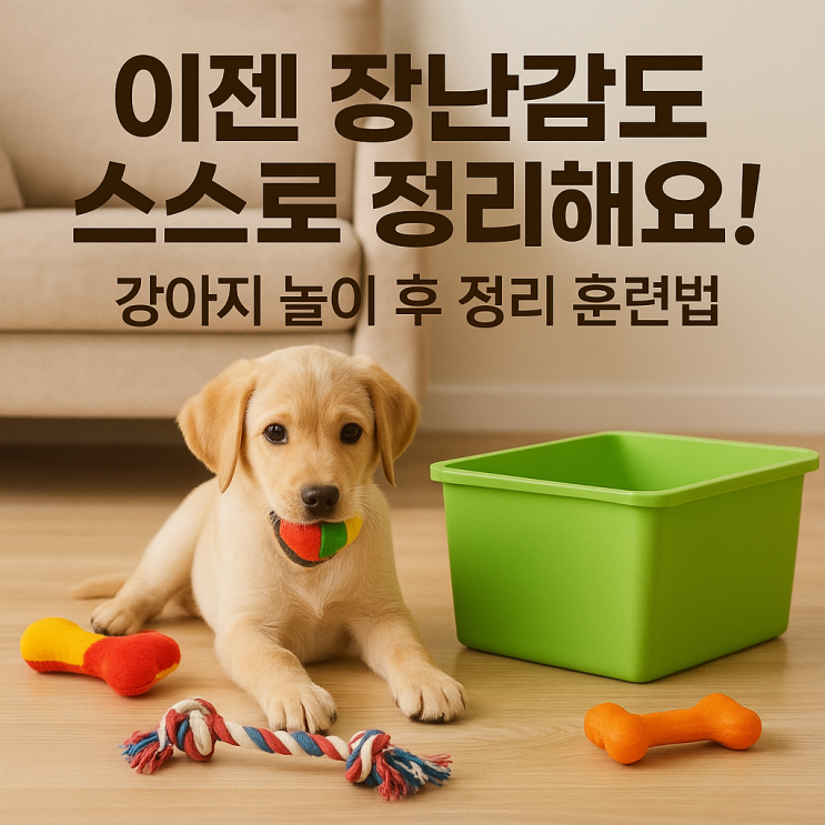   놀이 끝, 정리 시작! 강아지 스스로 장난감 치우는 훈련법