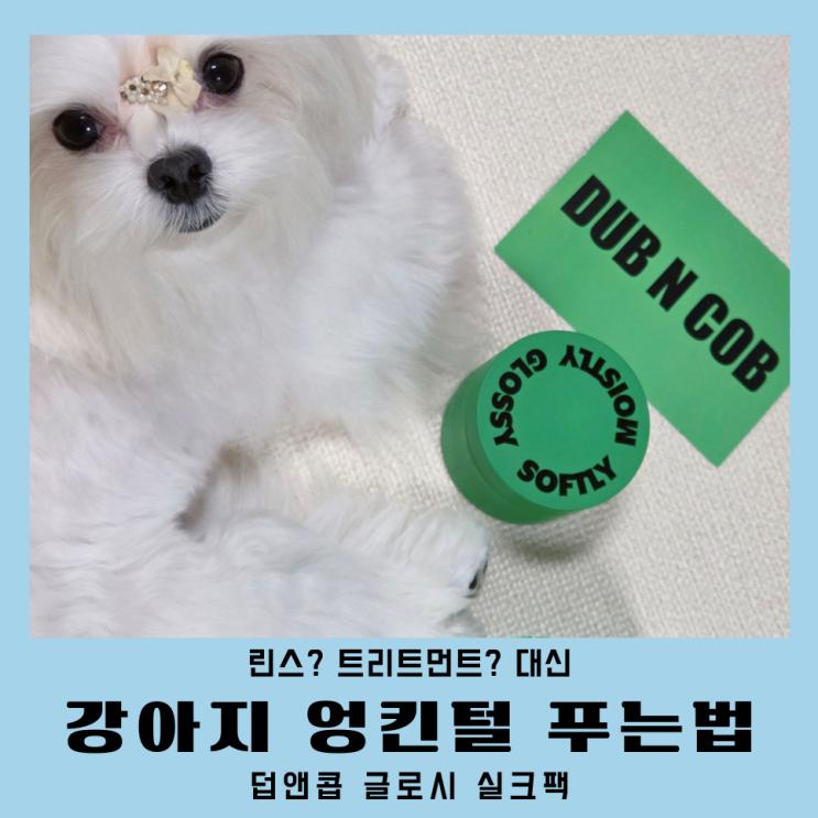  강아지트리트먼트 린스 대신 덥앤콥 실크팩 사용법