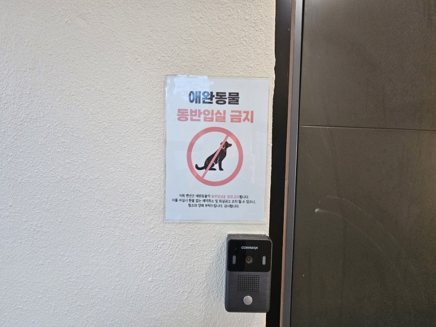 꿈의세계펜션 사진 5