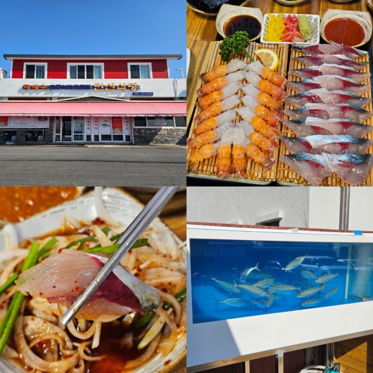  서귀포 횟집 추천 만선식당 제주 고등어회 맛집