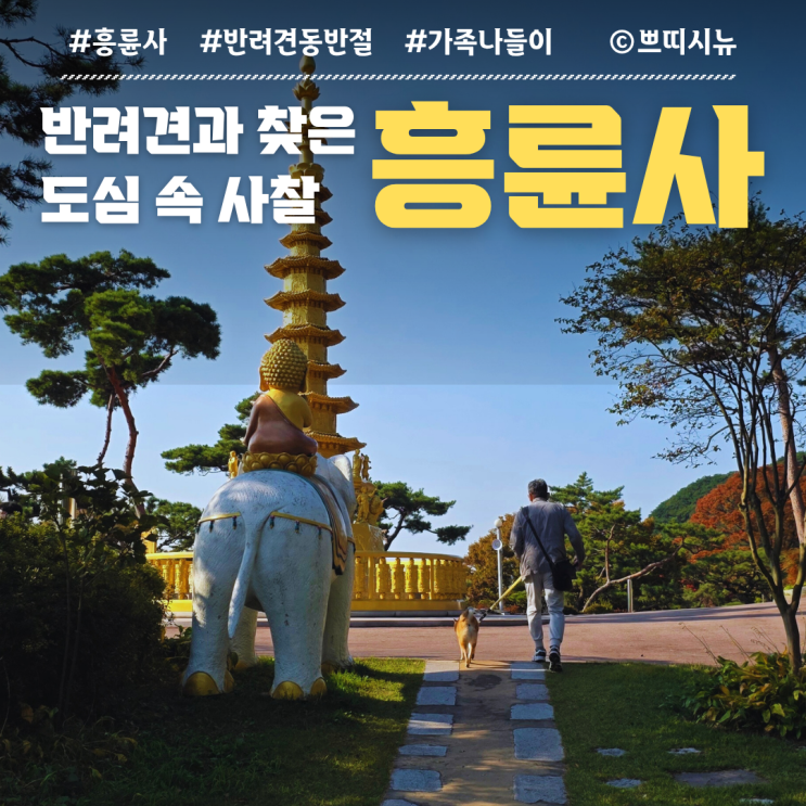 송도 반려견 동반 절 흥륜사, 여전히 고요한 곳 [N번째 방문기]