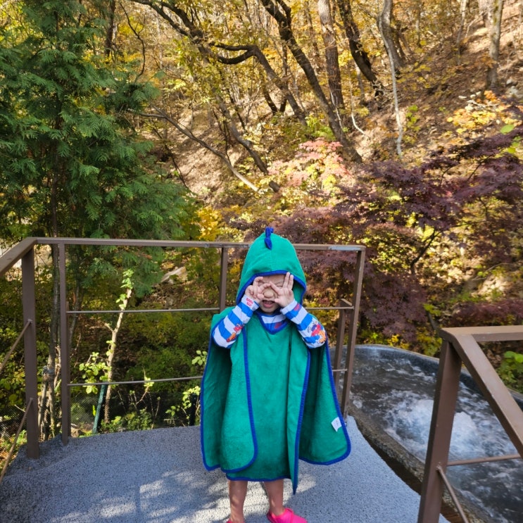  제천 리솜 해브나인 스파 완벽 가이드 필수 준비물부터 식당 메뉴 꿀팁 까지 총정리