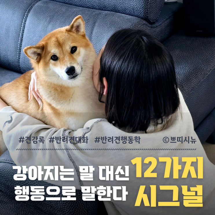  반려견의 카밍 시그널, 강아지 행동학으로 읽는 12가지 마음의 언어