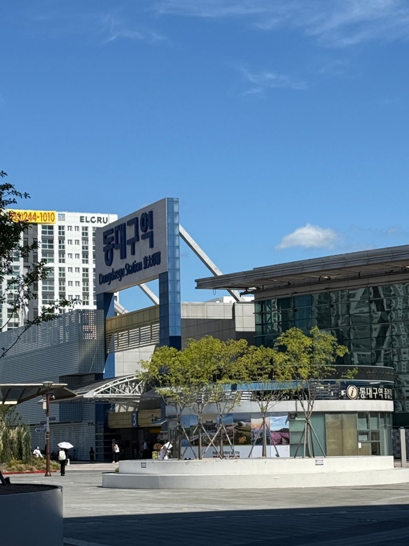 1박2일 대구 뚜벅이 여행 | 동성로 숙소 추천, 먹다 끝남 주의 : 네이버 블로그