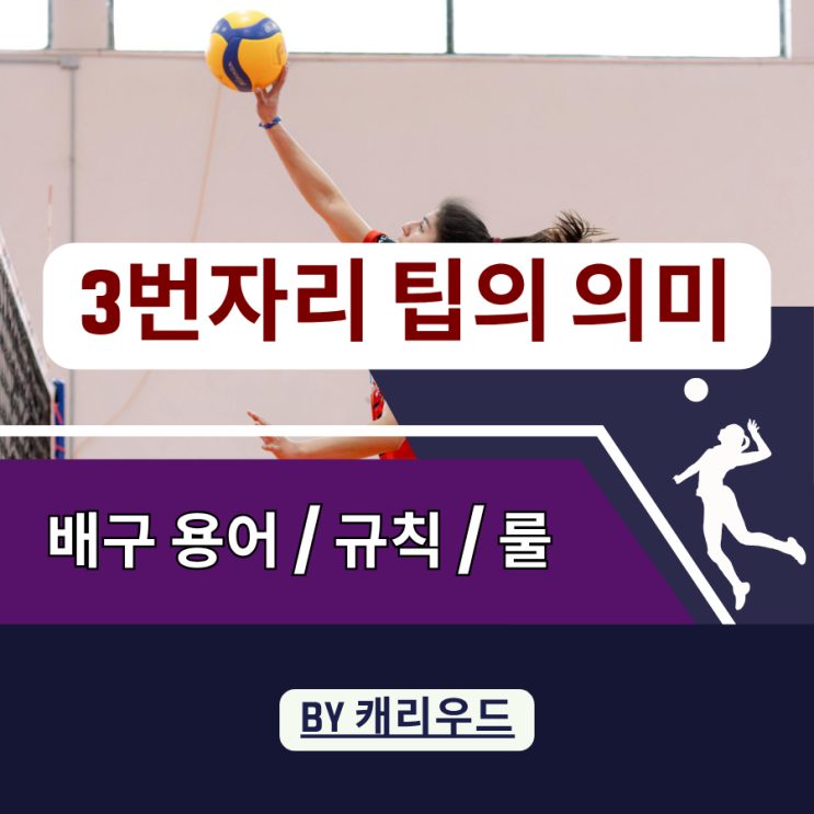  신인감독 김연경의 배구 전략 뜻 인쿠시 3번 자리 팁 공격 의미