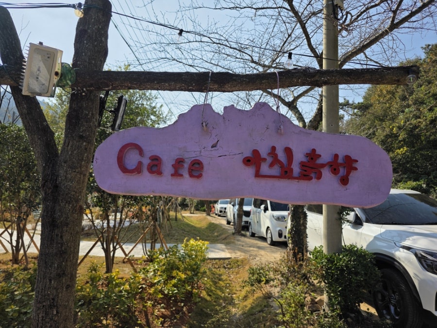 아침흙향 사진 3