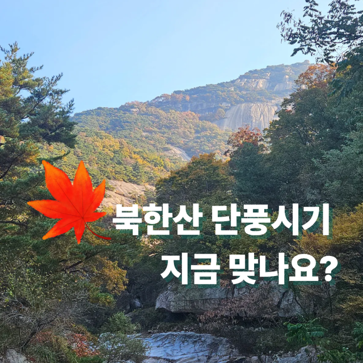  북한산 단풍시기 언제? 이번주보단 다음주 절정! 쉼터 등산 후기