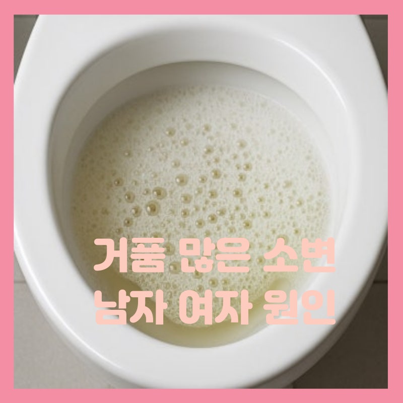 거품 많은 소변 남자 여자 소변거품 원인 사라지지 않는다면,
