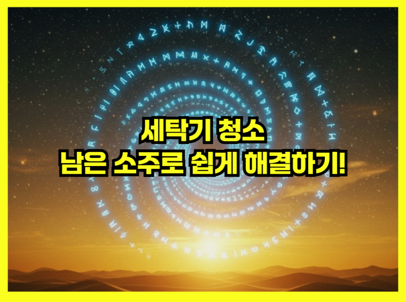 세탁기 청소, 남은 소주로 쉽게 해결하기!