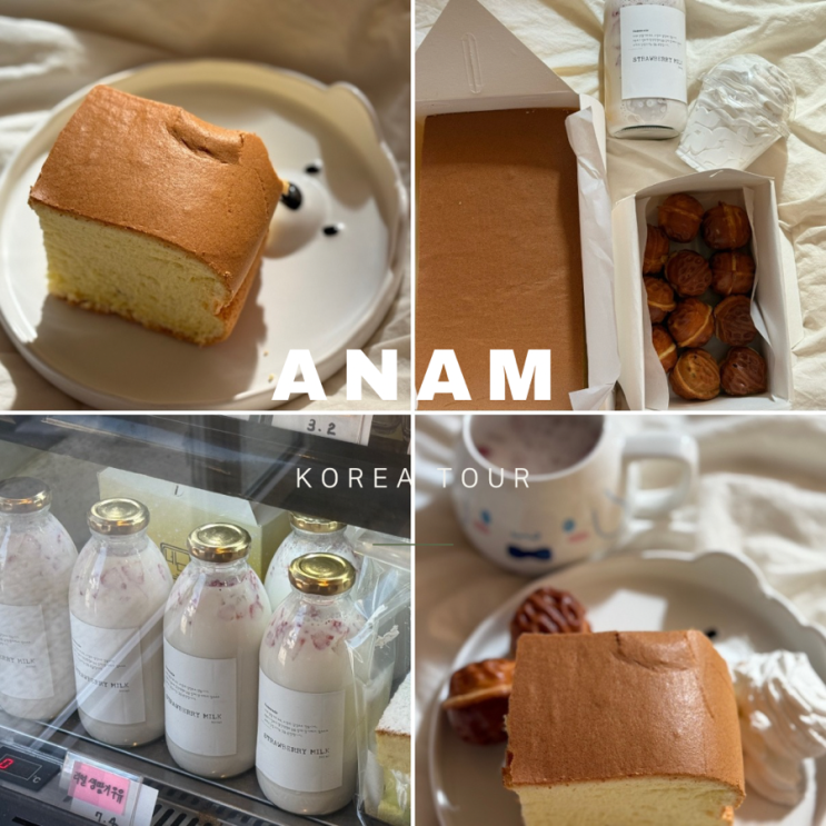  안암 대왕카스테라 맛집 네모브레드 방문기 ㅣ 달콤 폭신한 디저트카페