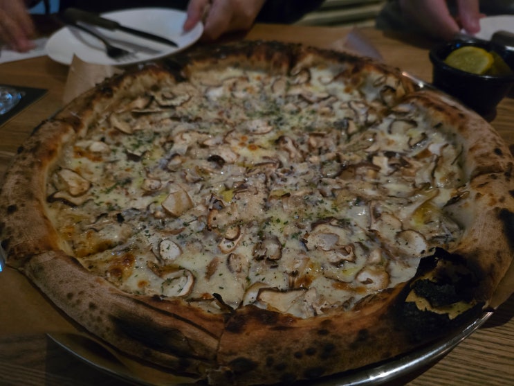  [내돈내산] 분위기 좋고 송로 피자가 맛있는 술집 맛집 '버드나무 브루어리' 방문 후기 (내부, 메뉴, 음식 실물 등)