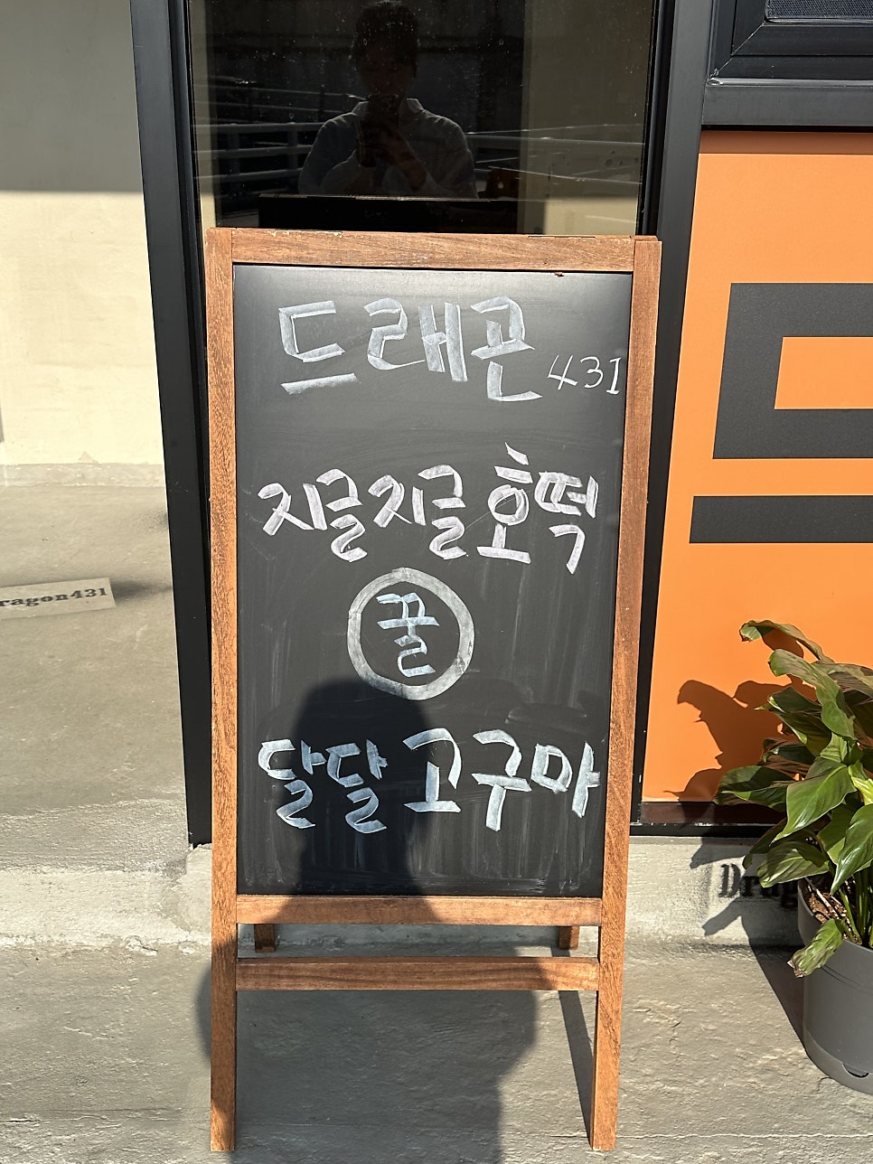 드래곤431 사진 4