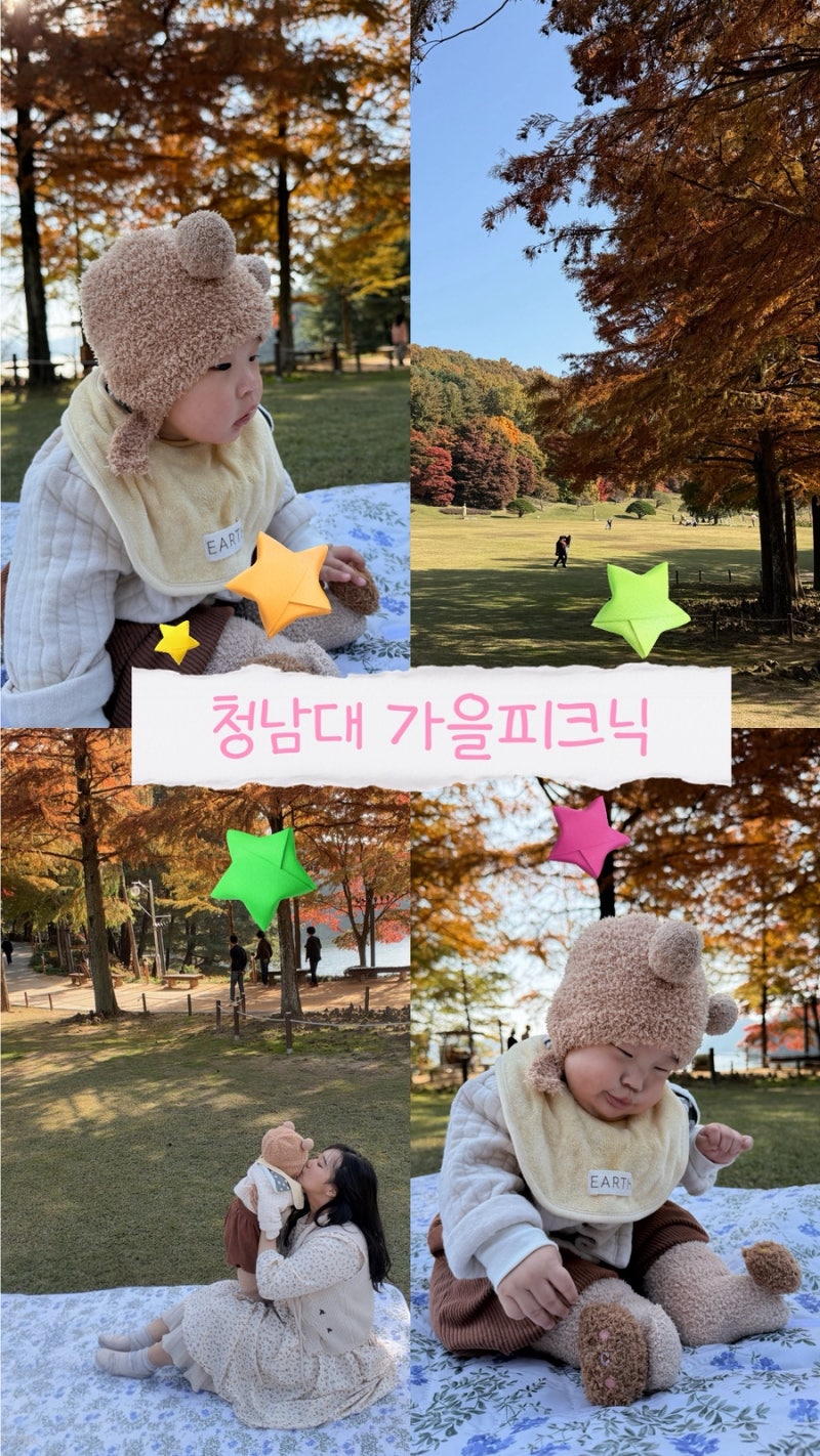 충북 단풍명소 청남대 국화축제 | 청주 가볼만한곳 | 청남대 애견동반
