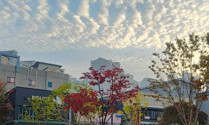 자영업 소상공인을 위한 정부 정책 (자영업/소상공인 지원제도) 상권정보시스템