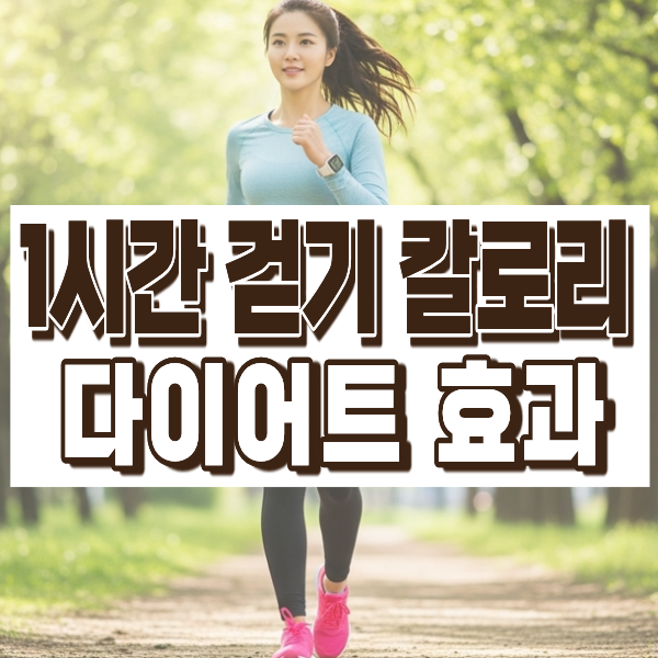 1시간 걷기 칼로리 소모 정확한 계산과 다이어트 효과