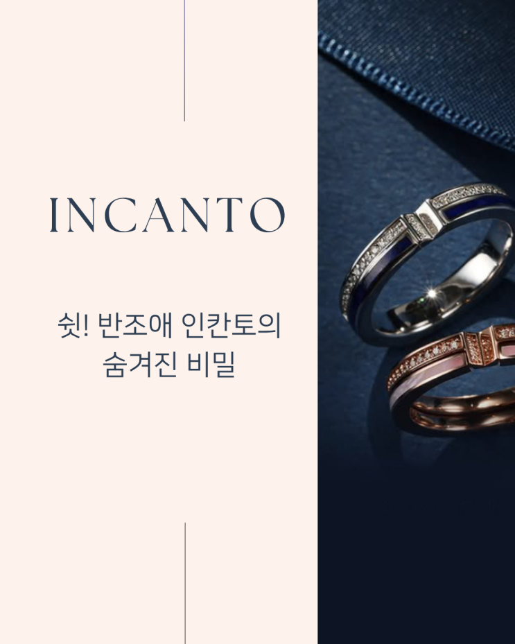  VANZOE 인칸토 특별함