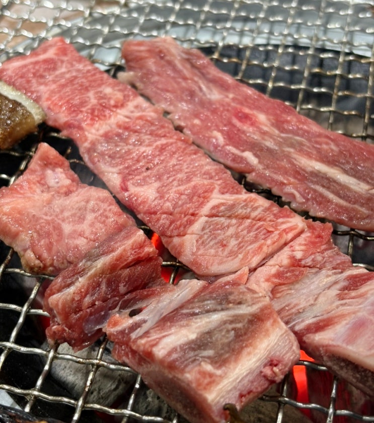  포항이동고기집 맛집 추천 최상급 한우의 고향안동갈비