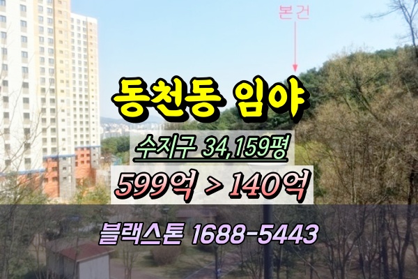  용인 수지구 임야 경매 200억 동천동 3만평대