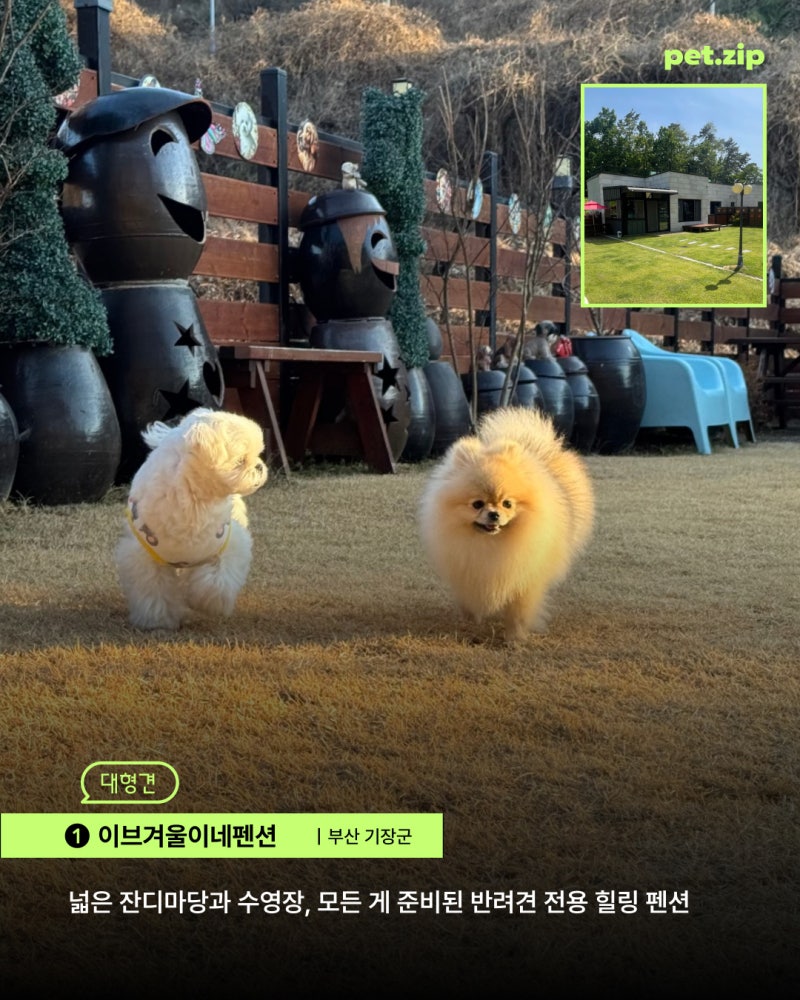 사진 15