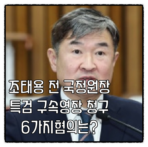 <b>조태용</b> 전 국정원장 특검 <b>구속영장</b> 청구 6가지 혐의는?
