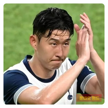 <b>손흥민</b> 떠나자 <b>토트넘</b> 관중 '반토막'…<b>티켓값</b> 결국 내렸다