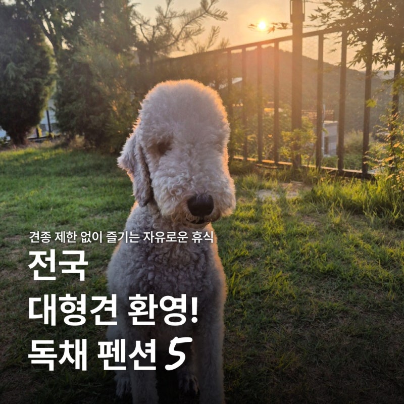 사진 14