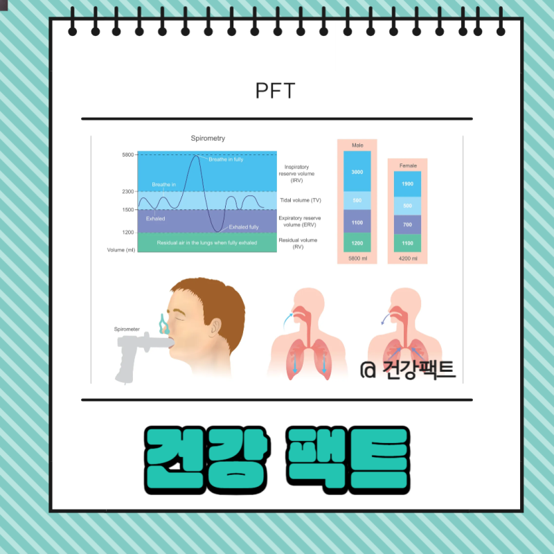 PFT 검사 방법 결과 정상수치 완벽 가이드