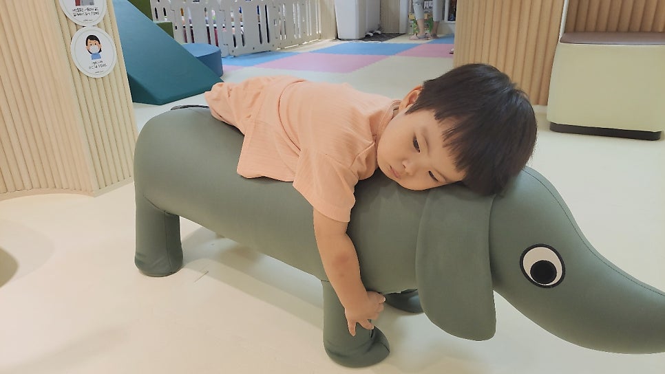 국수나무 목동2호점 사진 3