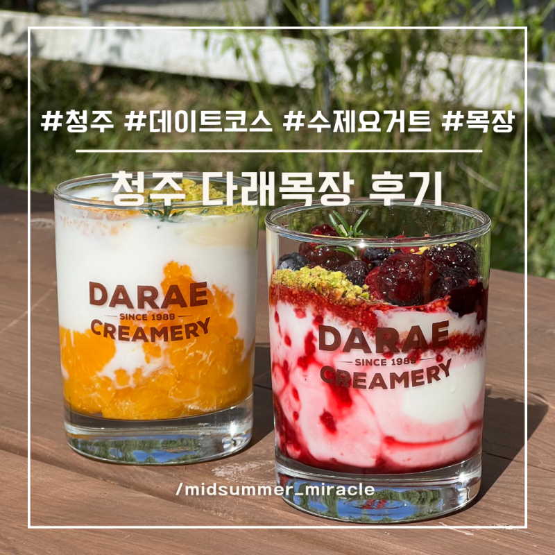 청주 다래목장 수제요거트 디저트 맛집 핑크뮬리 가득한 데이트코스 추천